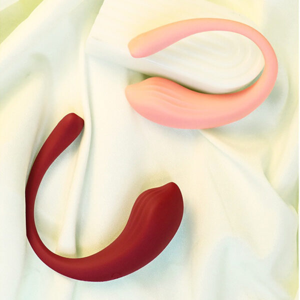 Dolphin Controlled Rechargeable remote Love Egg Vibrator - Image 6